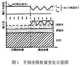 手指光吸收量变化示意图