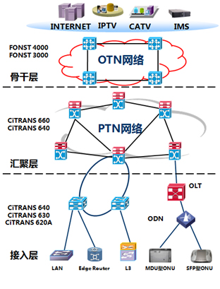 图4 OTN+PTN组建传输网络