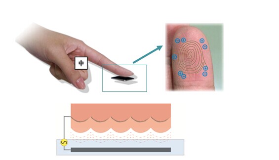 新型指纹识别芯片技术的应用与发展