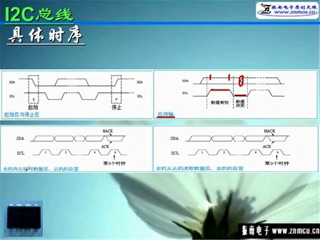 《单片机基础外设九日通》之第七日