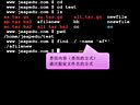 Linux基础视频教程 --- 10 Linux基本命令之 which whereis