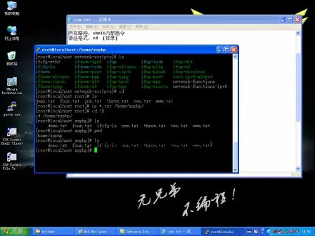 LMAP兄弟连Linux 12.Linux常用命令（一）