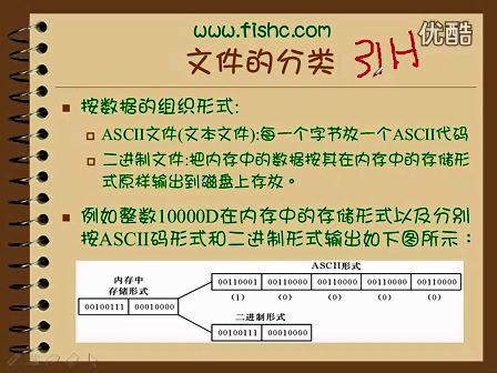 小甲鱼零基础入门学习C语言060.第十一章 文件操作01