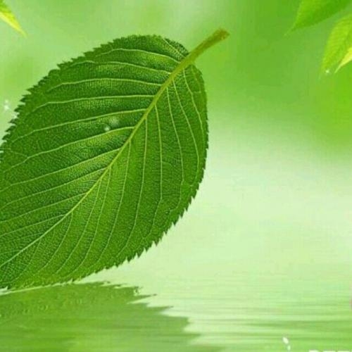 方丈大大
